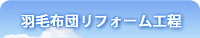 �H�ѕz�c���t�H�[���H��